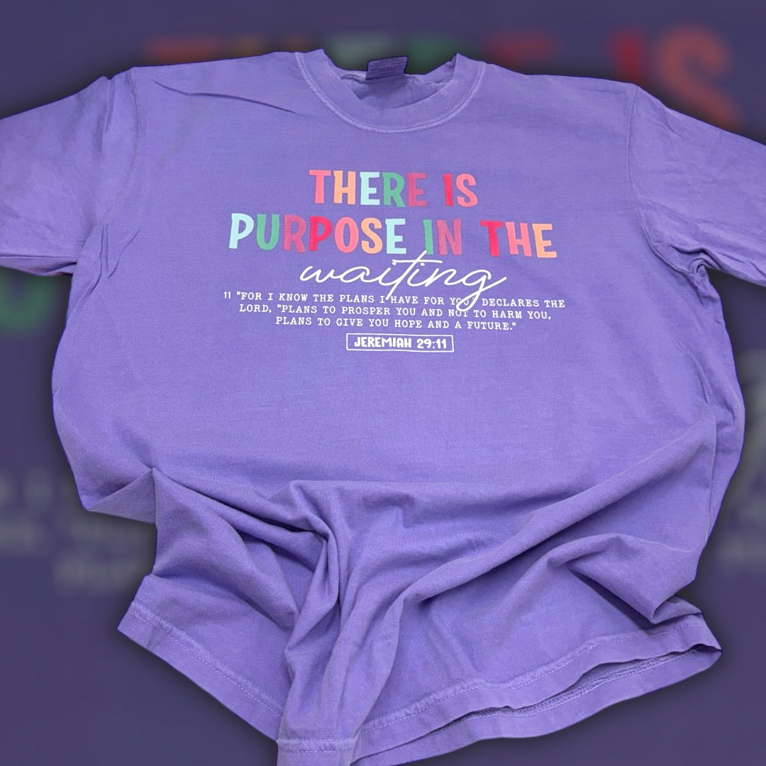 Purpose In The Waiting T-Shirt