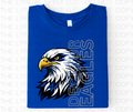 Decatur Eagles Mascot School Spirit Exclusive T-Shirt