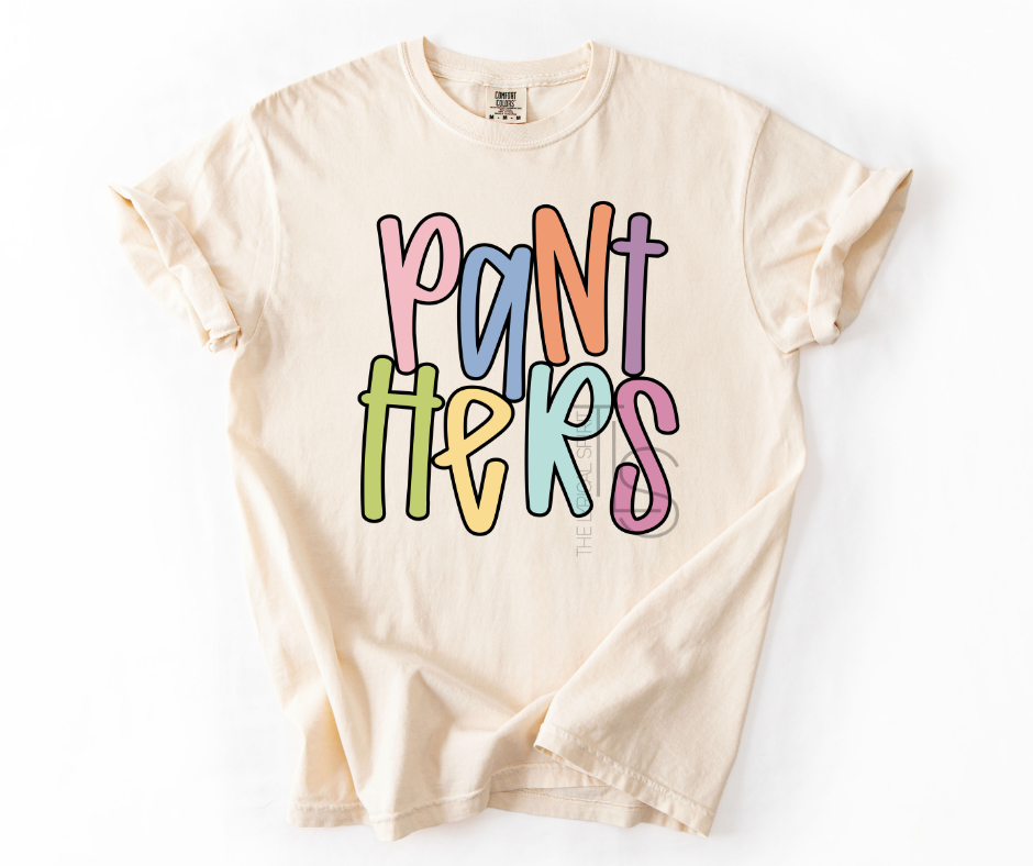 Panthers Colorful Custom Exclusive T-Shirt