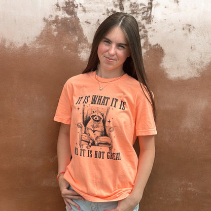 It is what it is & it’s not great T-Shirt