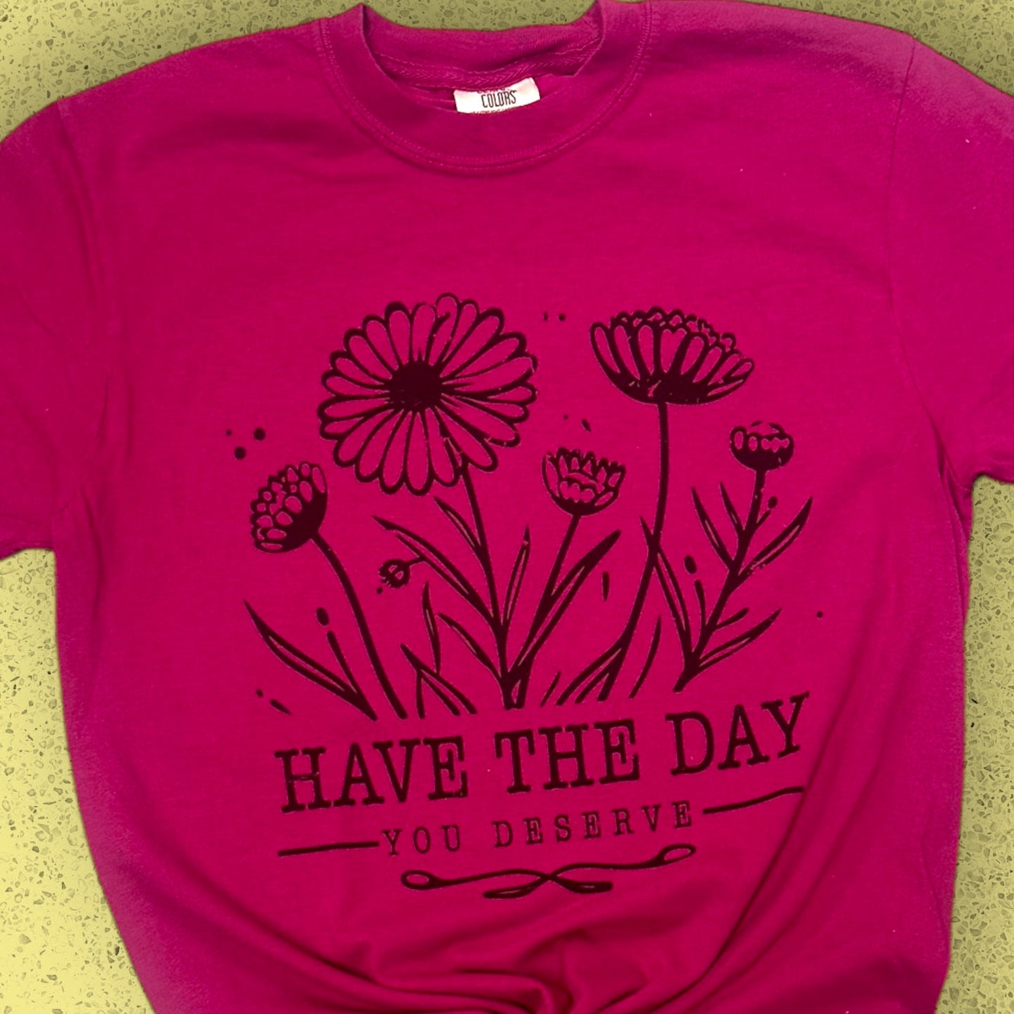 Have the Day you Deserve T-Shirt