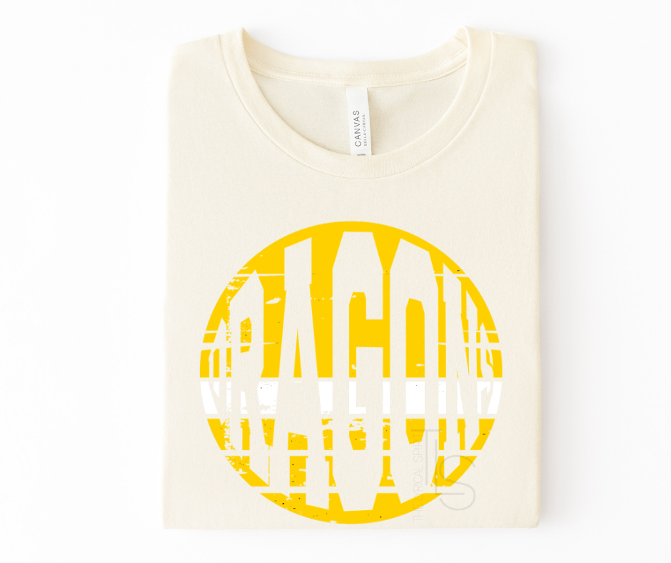 Dragons Distressed Circle T-Shirt