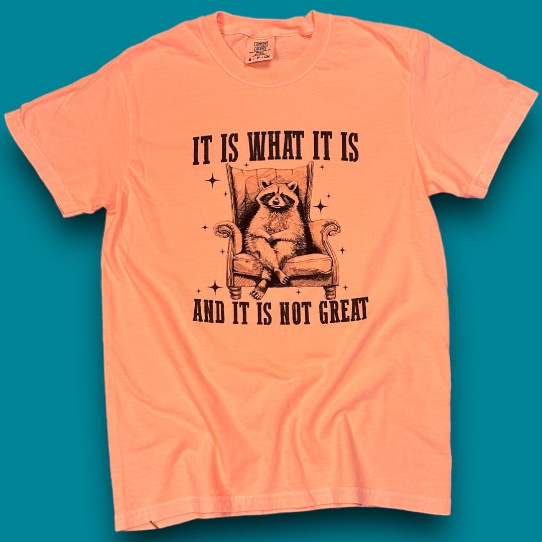 It is what it is & it’s not great T-Shirt