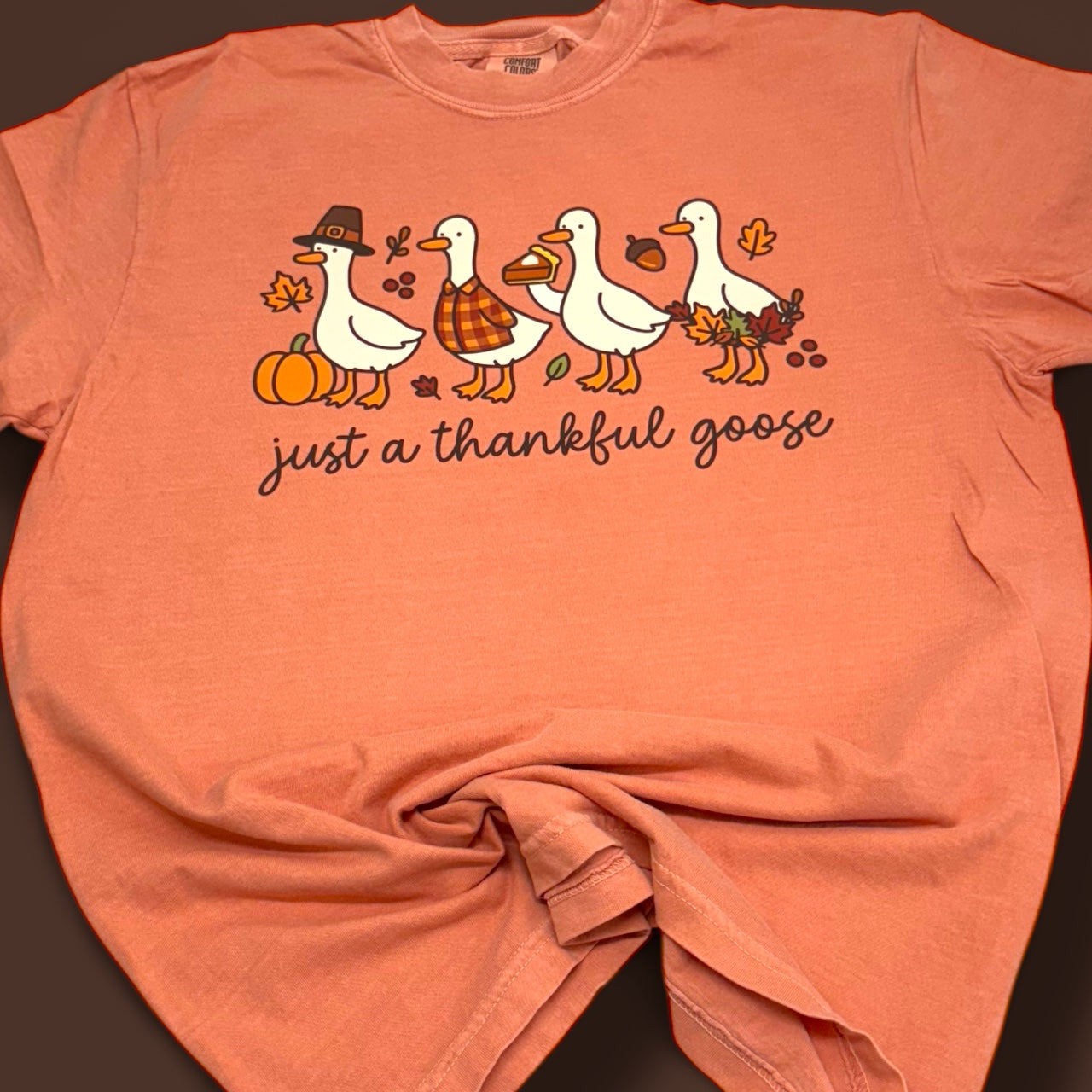 Just A Thankful Goose T-Shirt