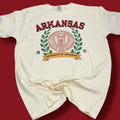 University Of Arkansas T-Shirt