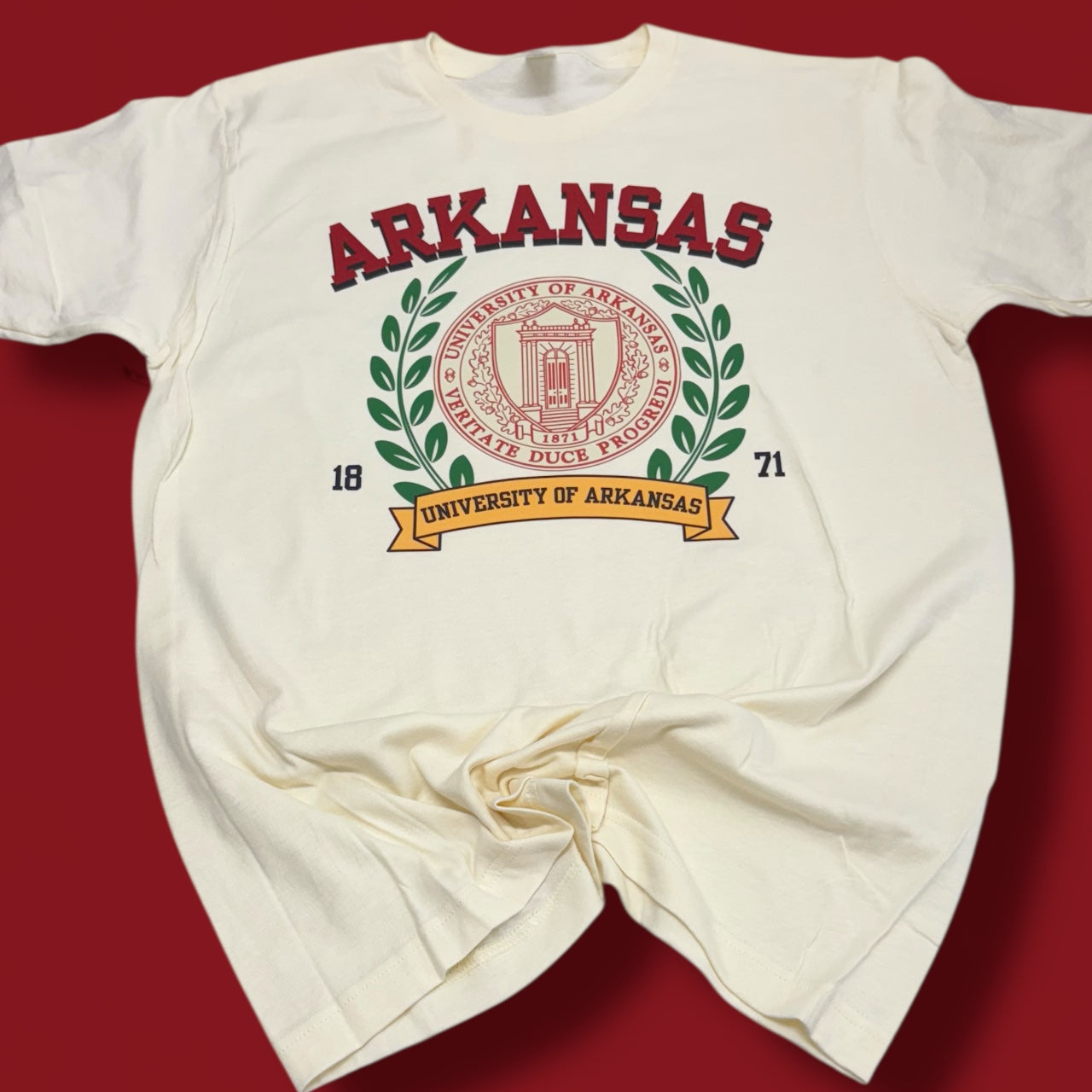 University Of Arkansas T-Shirt